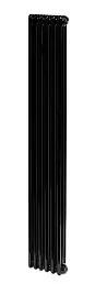 Стальной трубчатый радиатор IRSAP TESI 21800 6 секций Чёрный боковое подключение 3/4"