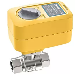 Кран с электроприводом Neptun PROFI 220В 1 1/4